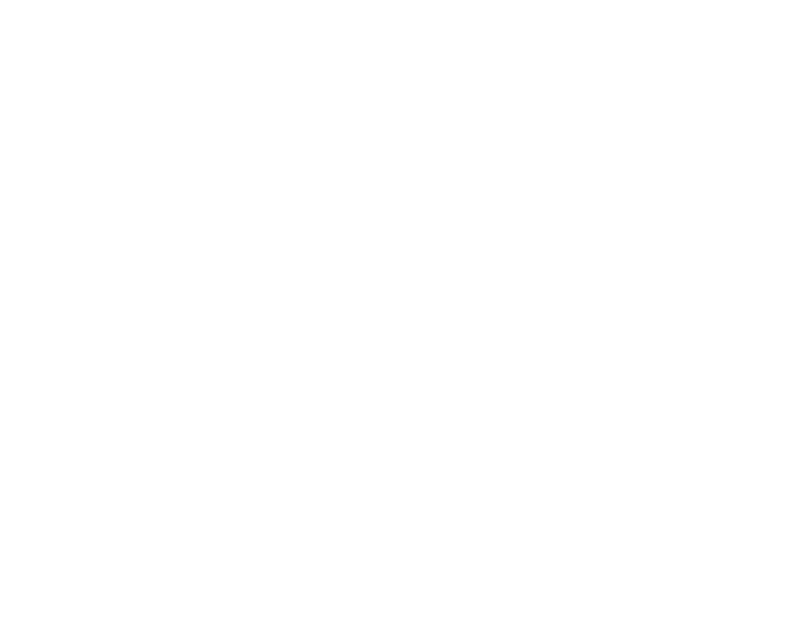 Retratos corporativos México